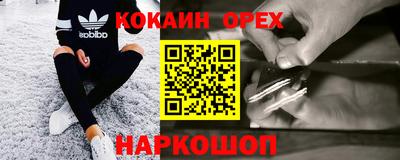 apvp Можга