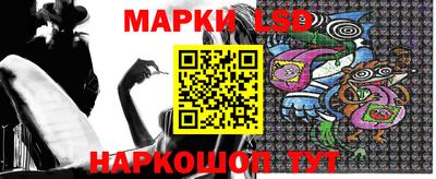 apvp Можга
