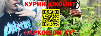 apvp Можга